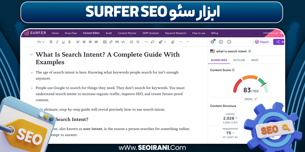 ابزار سئو سرفر سئو